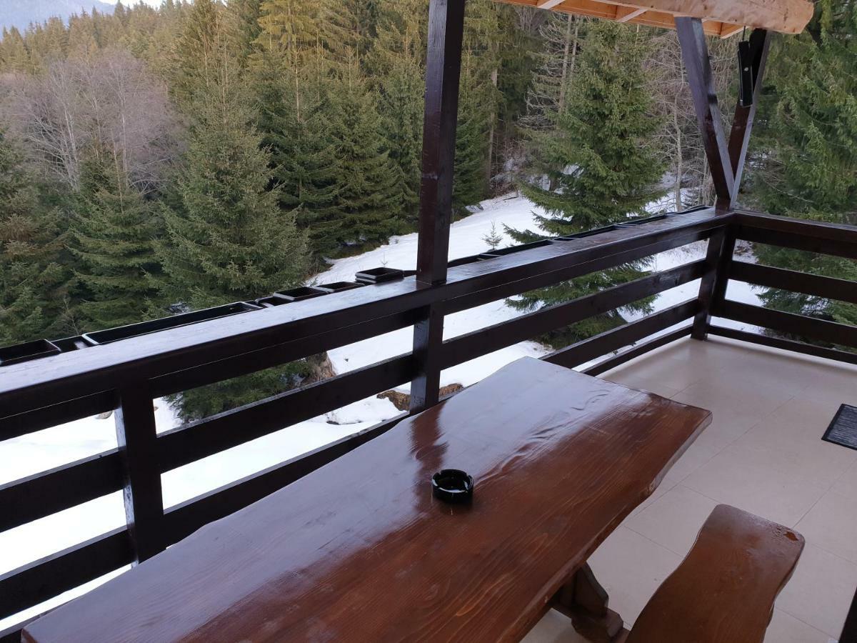 Nature House Predeal Εξωτερικό φωτογραφία