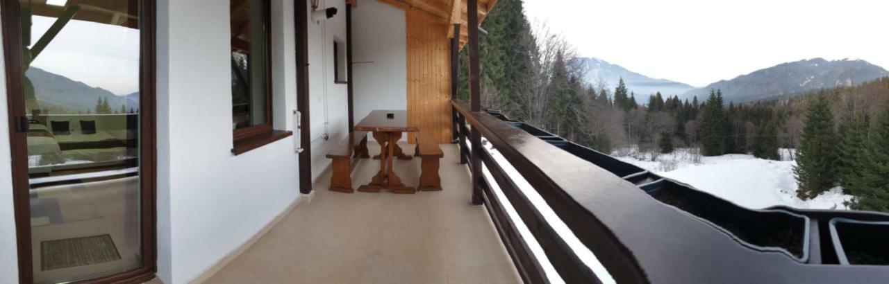Nature House Predeal Εξωτερικό φωτογραφία