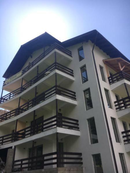 Nature House Predeal Εξωτερικό φωτογραφία