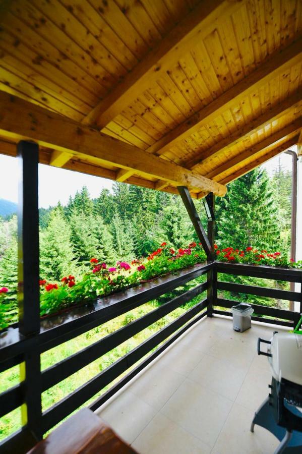 Nature House Predeal Εξωτερικό φωτογραφία