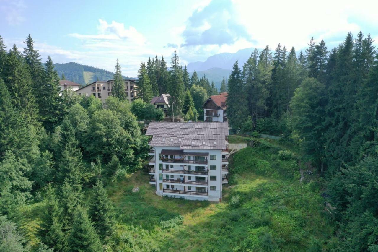 Nature House Predeal Εξωτερικό φωτογραφία